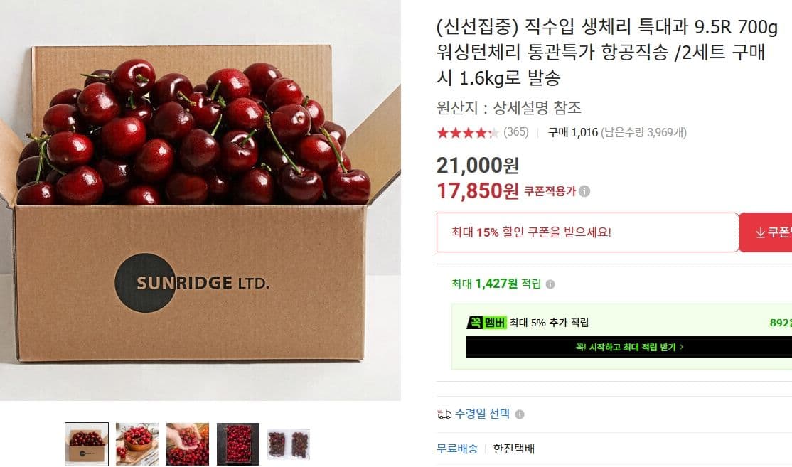 워싱턴 체리 특대과 700g