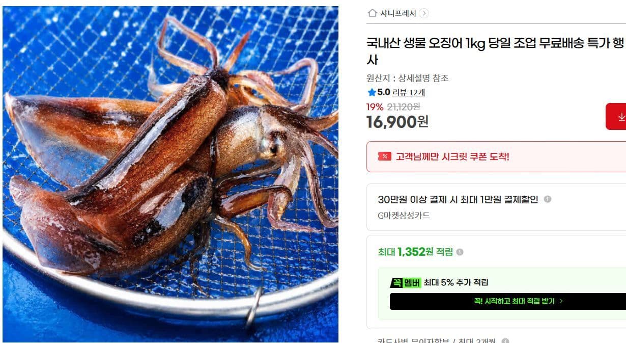 국내산 생물 오징어 1kg