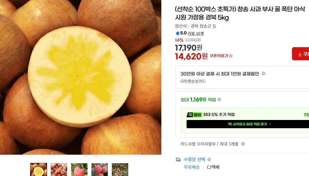 청송 사과 부사 5kg