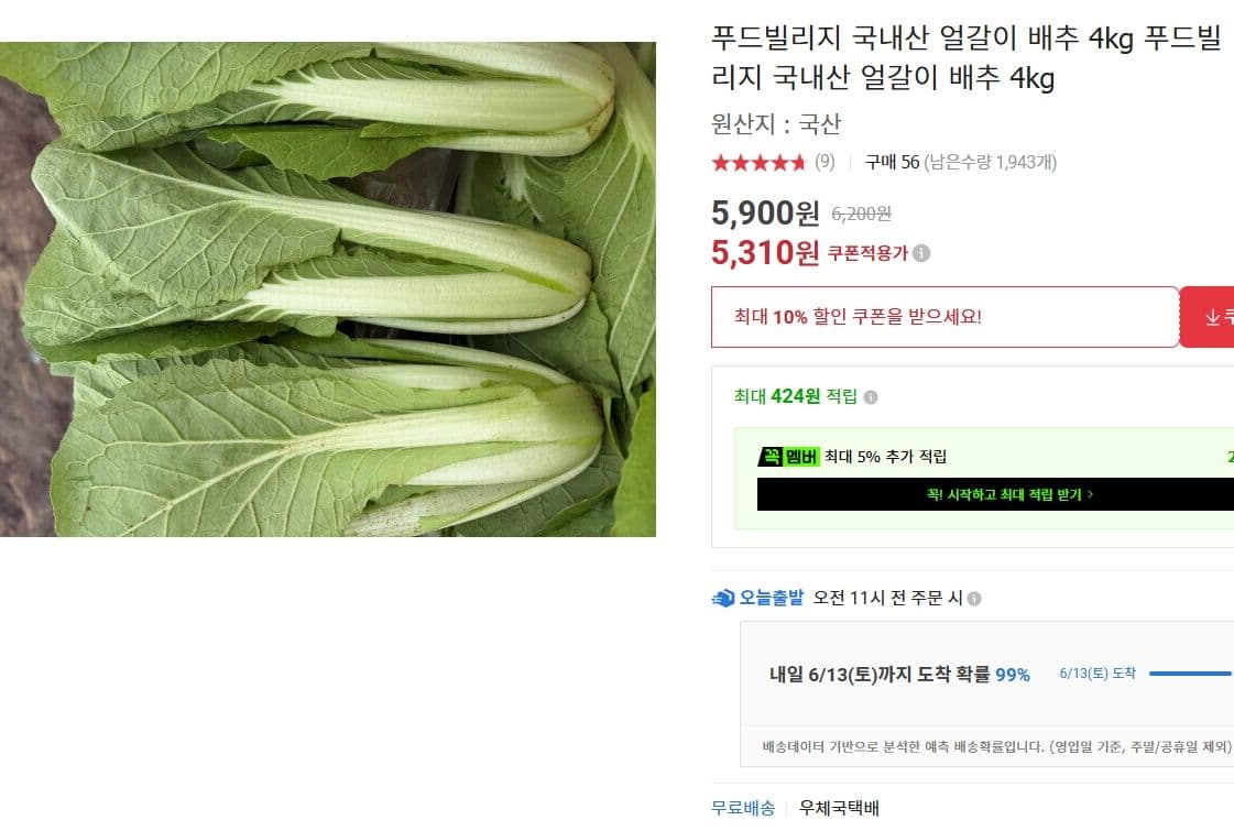 국내산 얼갈이 배추 4kg