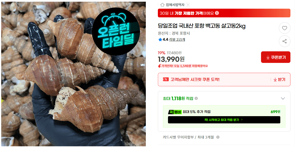 국내산 포항 백고동 살고동