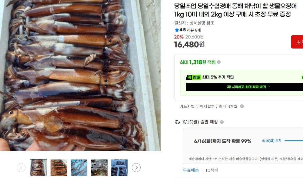 동해 채낚이 활 오징어 1kg