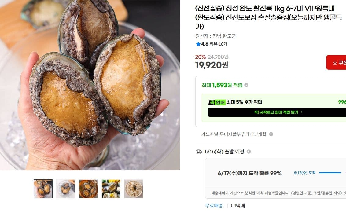완도 활전복 VIP 왕특대 1kg