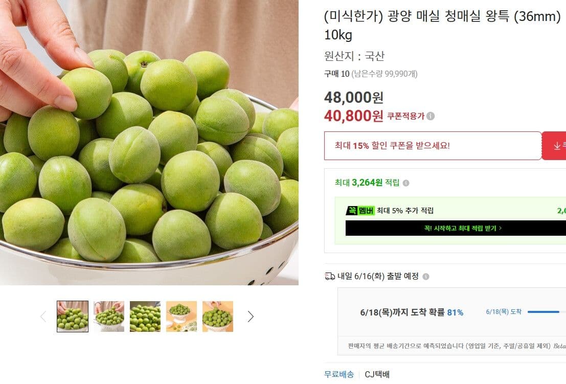 광양 청매실 왕특 10kg