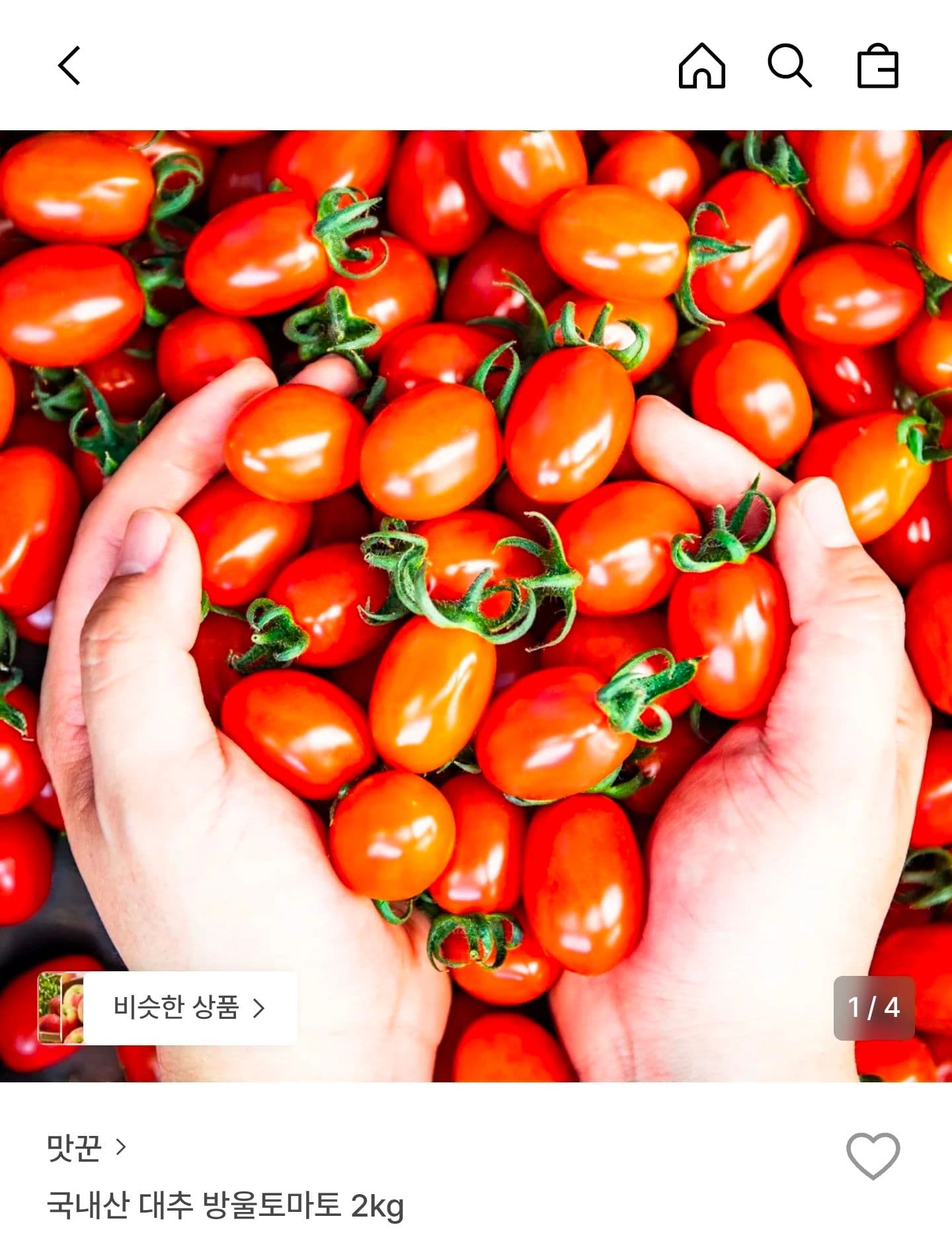 대추 방울토마토 대과 2kg