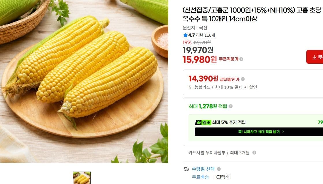 고흥 초당 옥수수 10개입