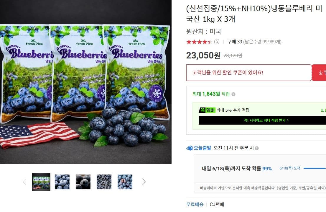 냉동 블루베리 미국산 1kg 3개