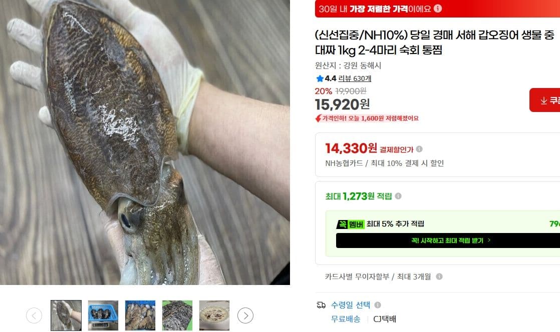 서해 갑오징어 중대짜 1kg