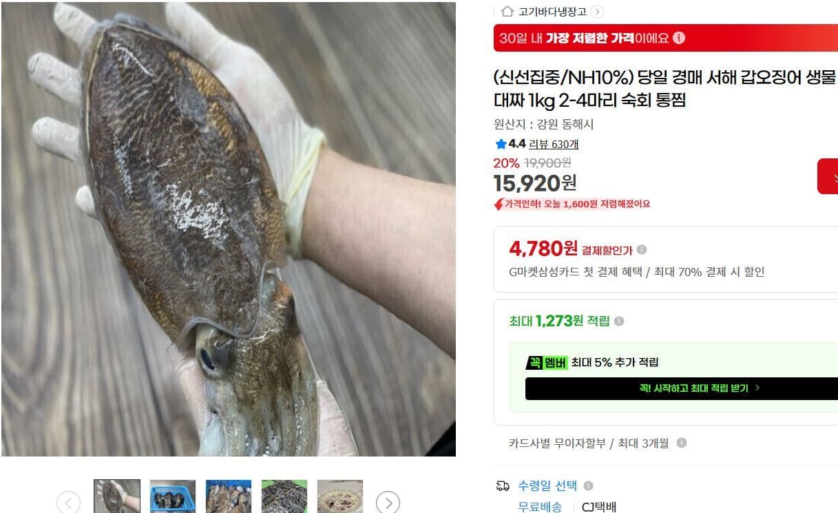 서해 갑오징어 중대짜 1kg