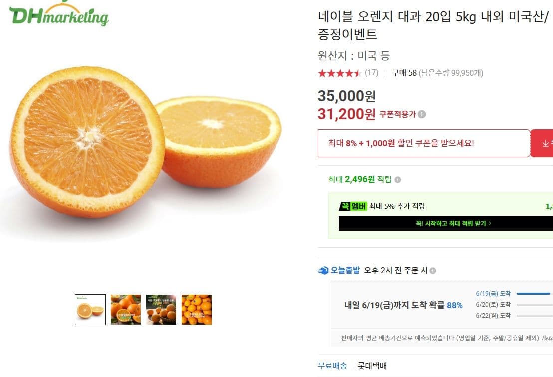네이블 오렌지 대과 5kg