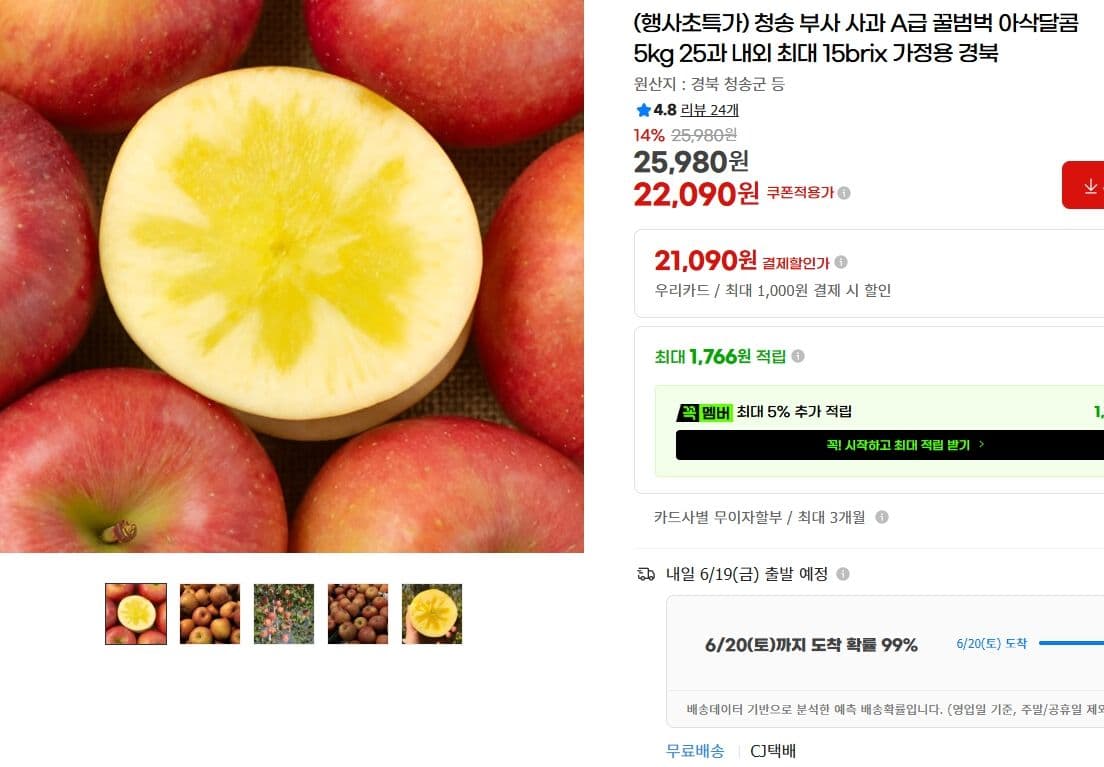 청송 부사 사과 5kg