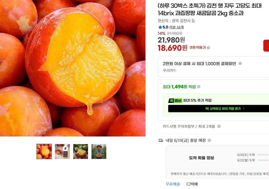 김천 햇 자두 2kg