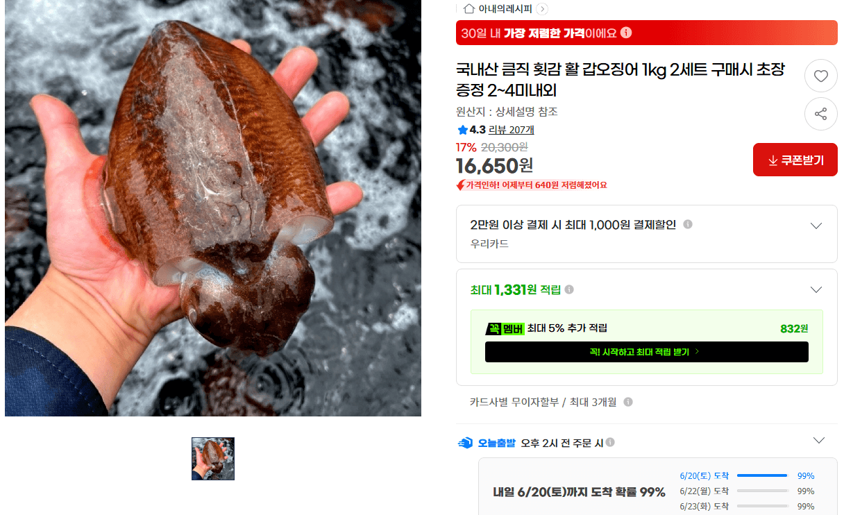 국내산 갑오징어 1kg 2세트