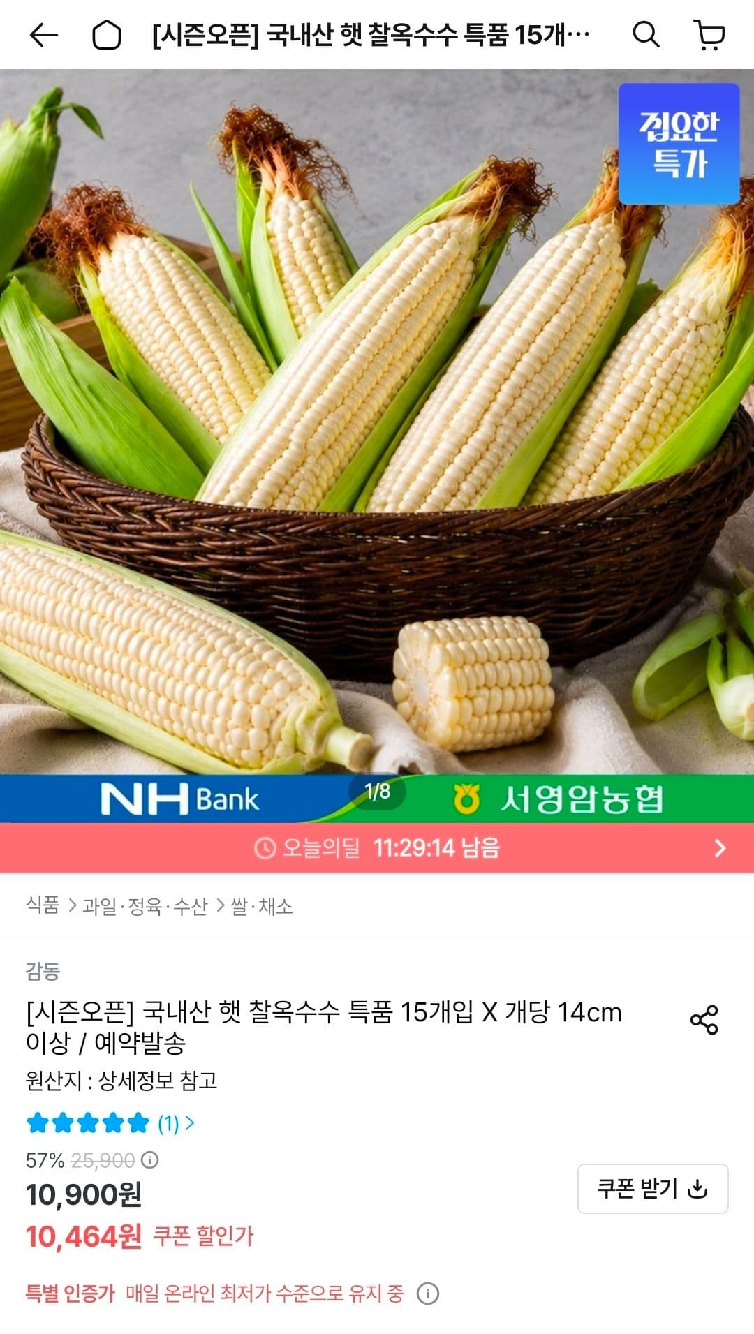 국내산 햇 찰옥수수 15개
