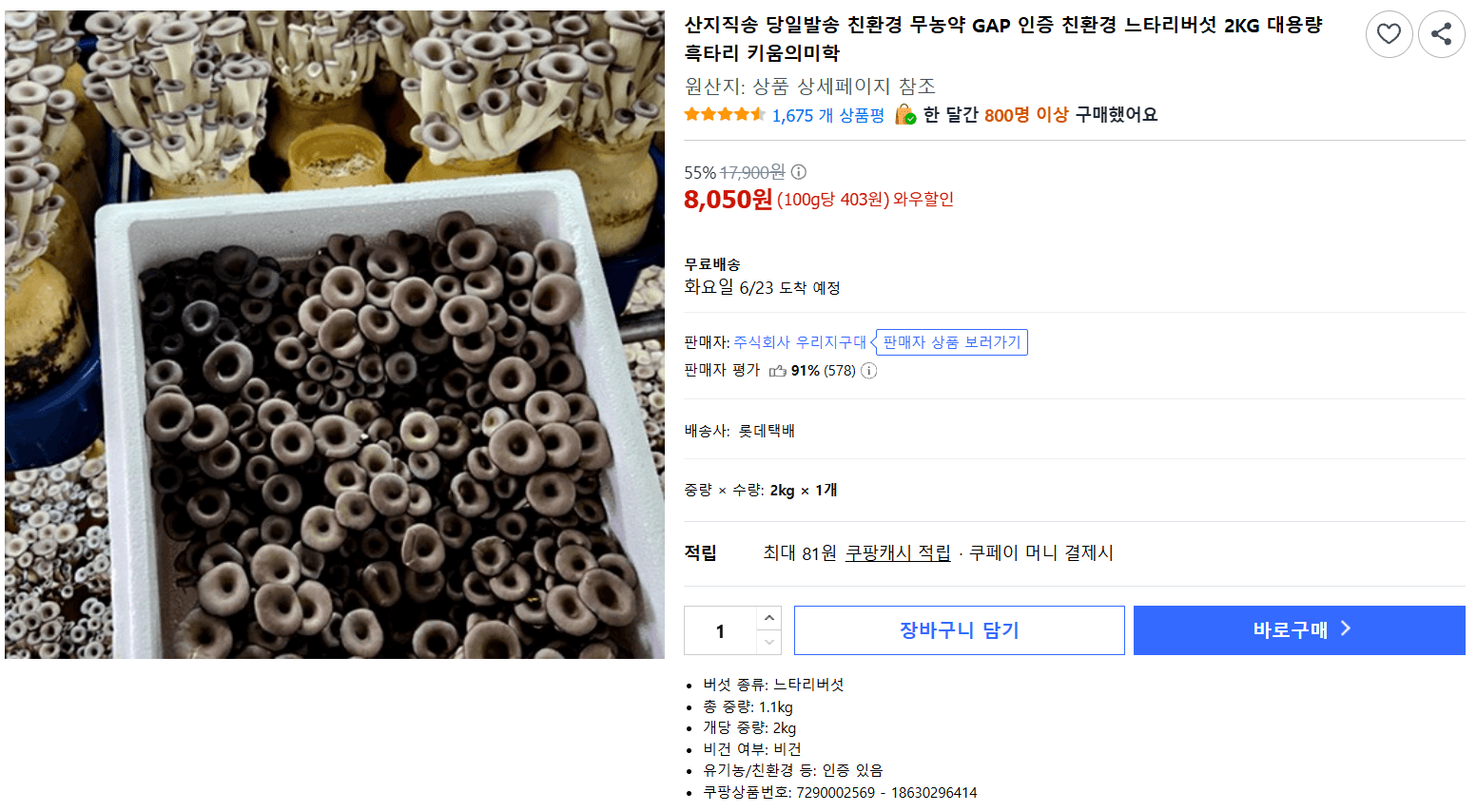 친환경 느타리버섯 2KG