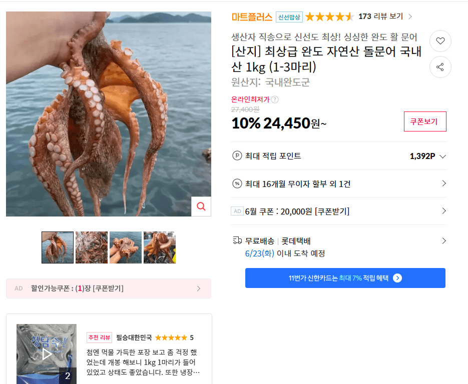 완도 자연산 돌문어 1kg