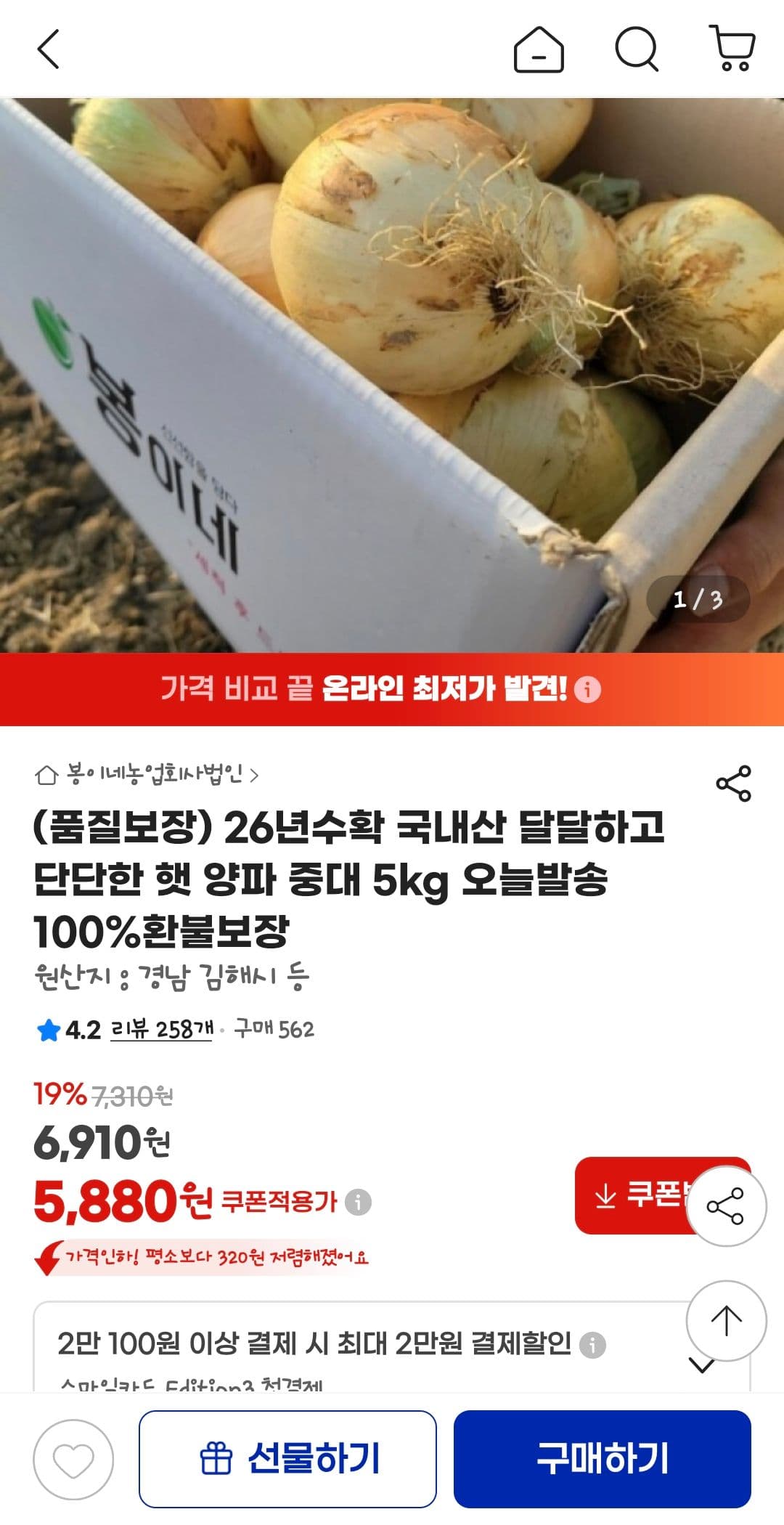 국내산 햇 양파 5kg