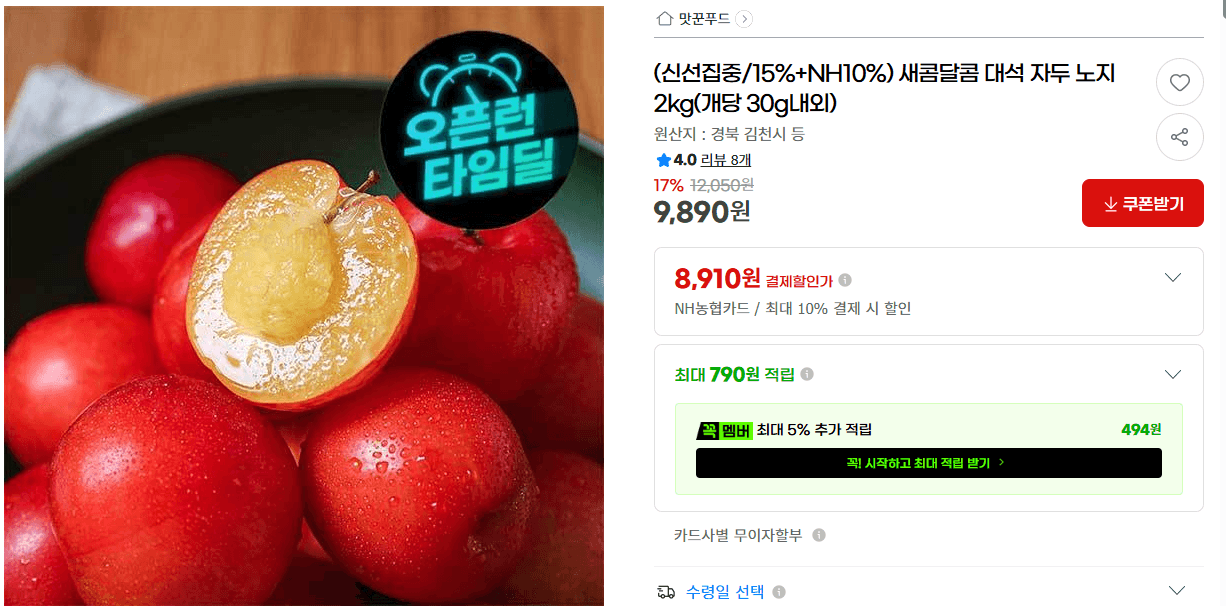 대석 자두 노지 2kg