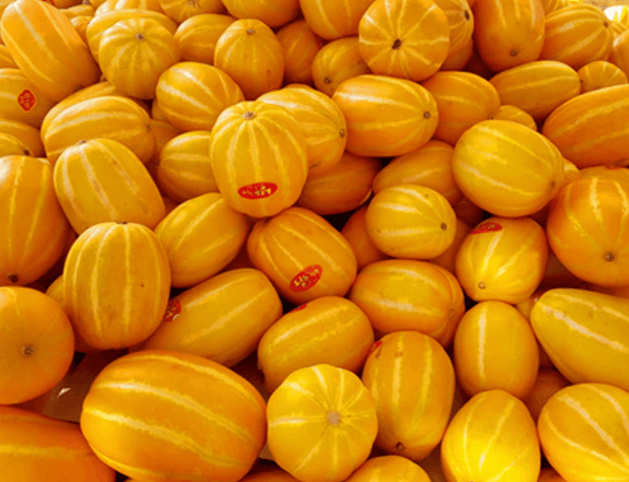 성주 꿀 참외 5kg