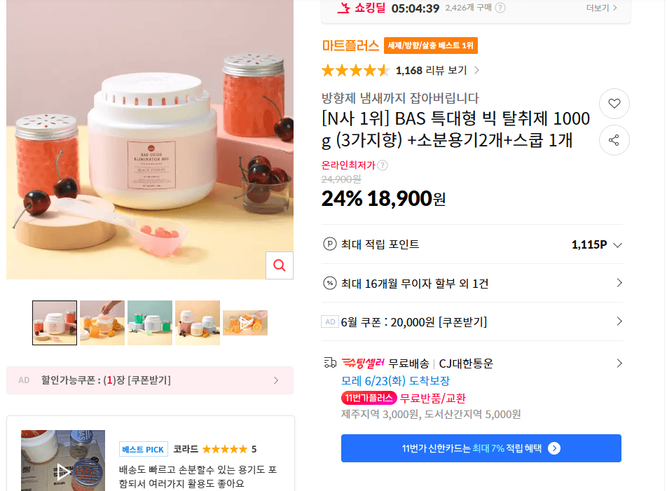 BAS 빅 탈취제 1000g
