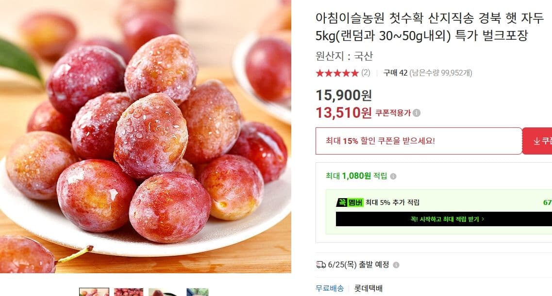경북 햇 자두 5kg