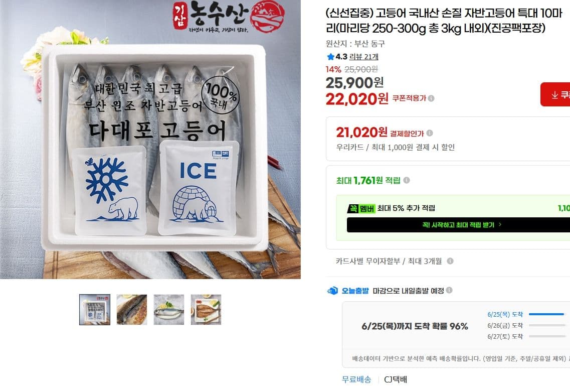 국내산 자반고등어 특대 10마리