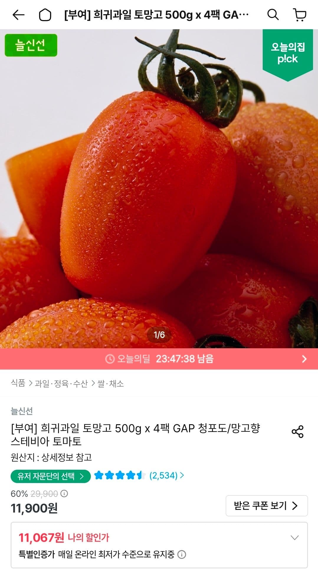 스테비아 토망고 4팩
