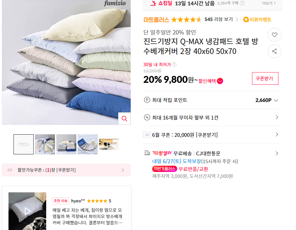 Q-MAX 냉감패드 방수베개커버 2장