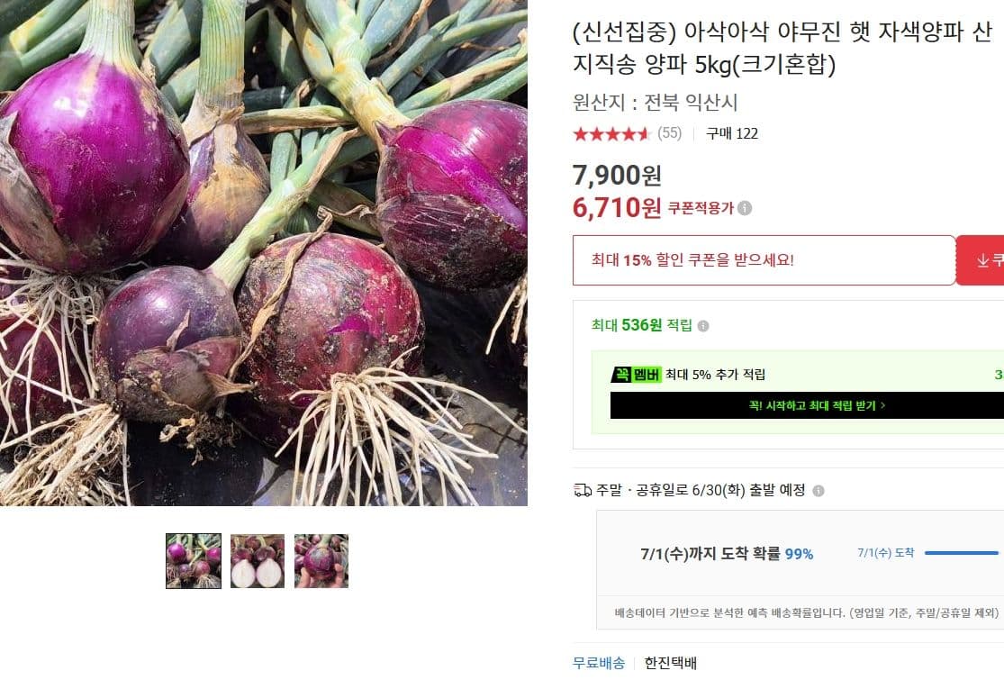 자색양파 5kg