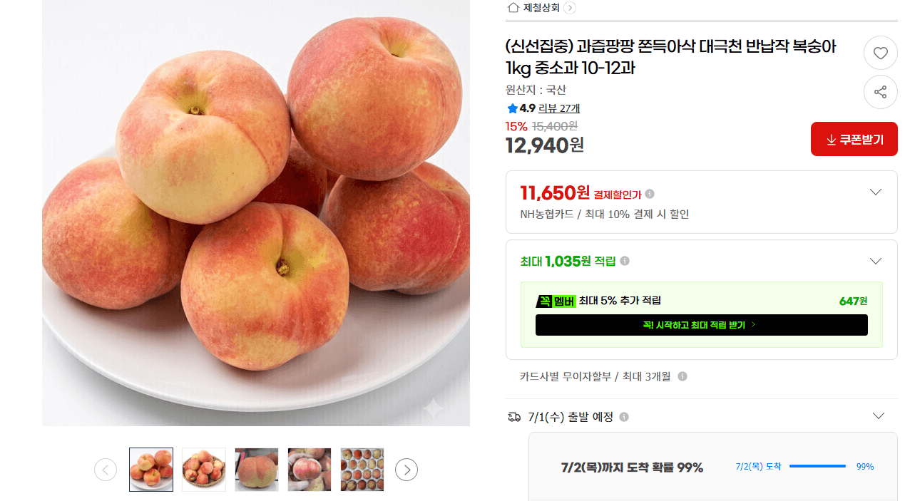 대극천 복숭아 1kg