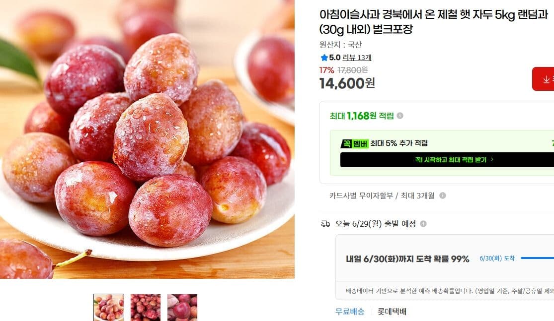 제철 햇 자두 5kg