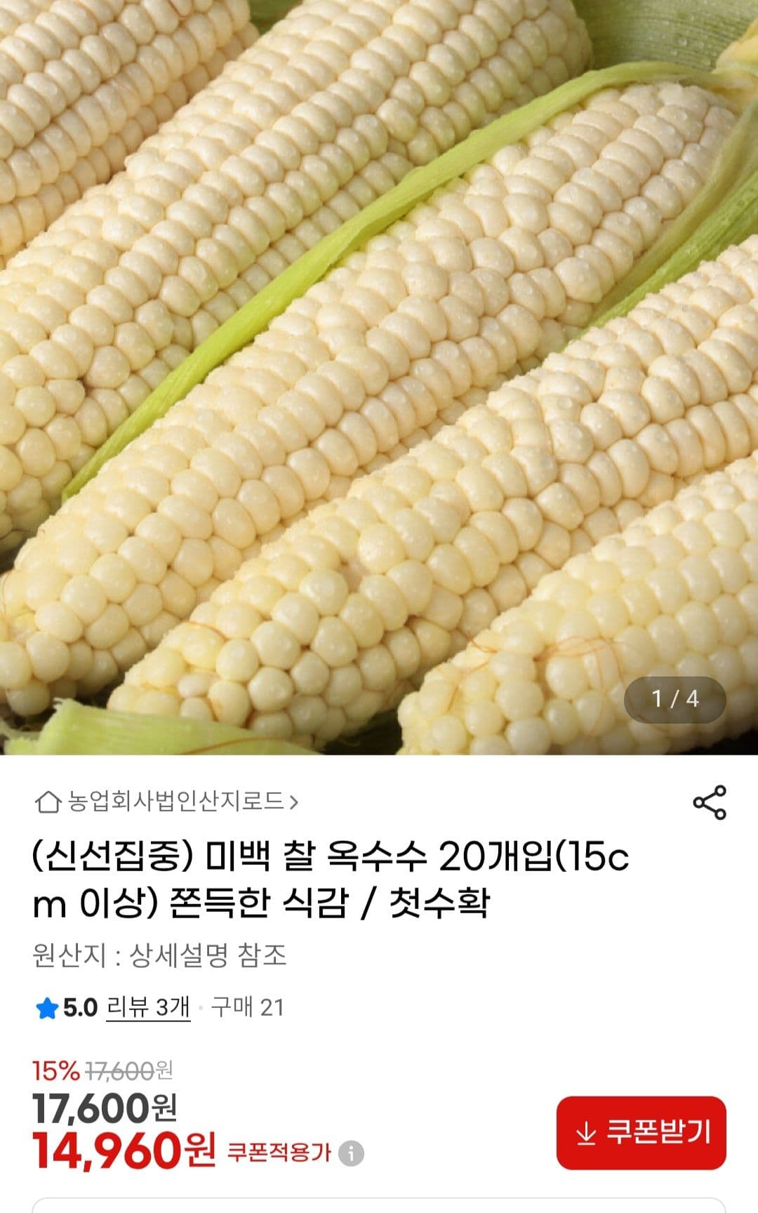 미백 찰 옥수수 20개