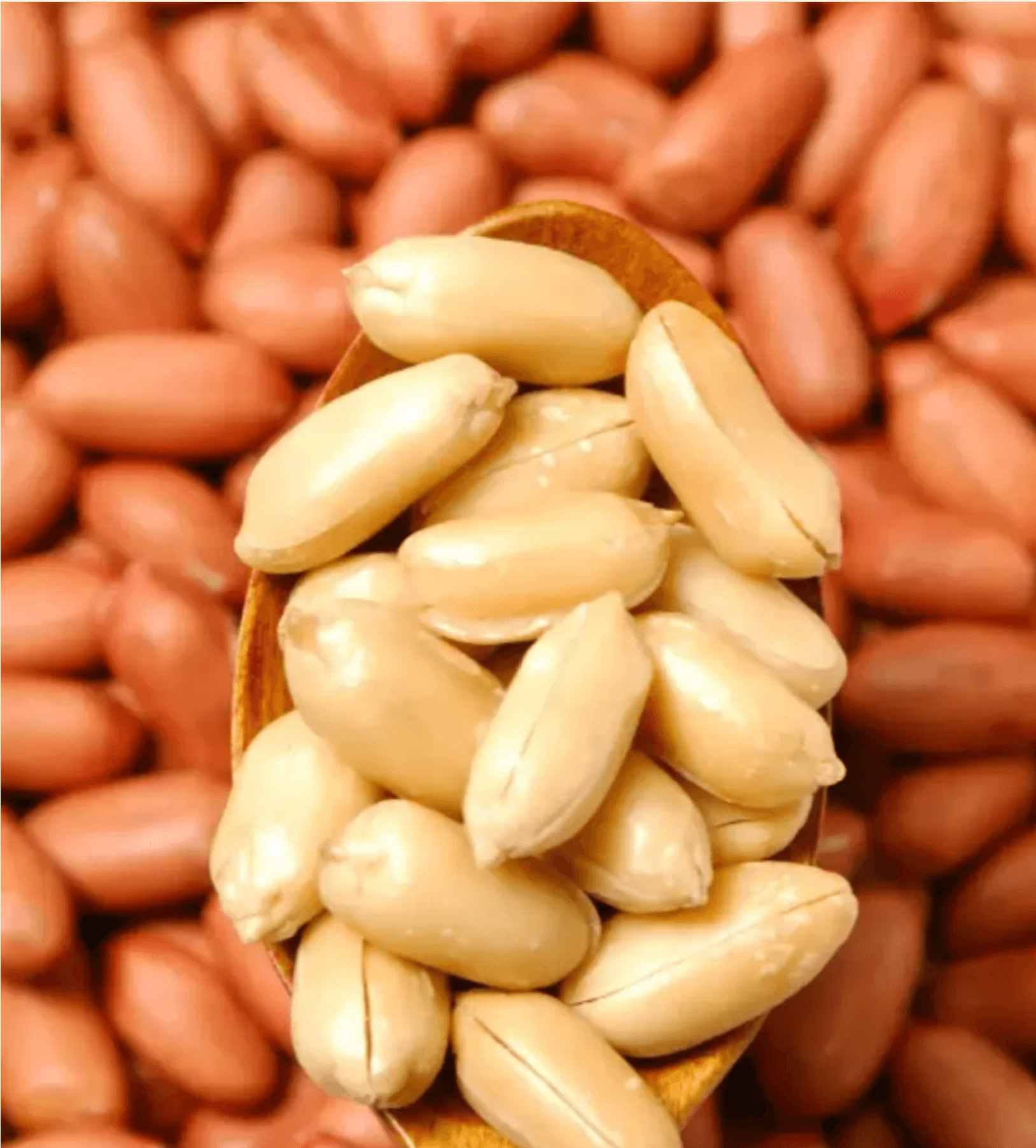 이진물산 볶은 땅콩 1kg