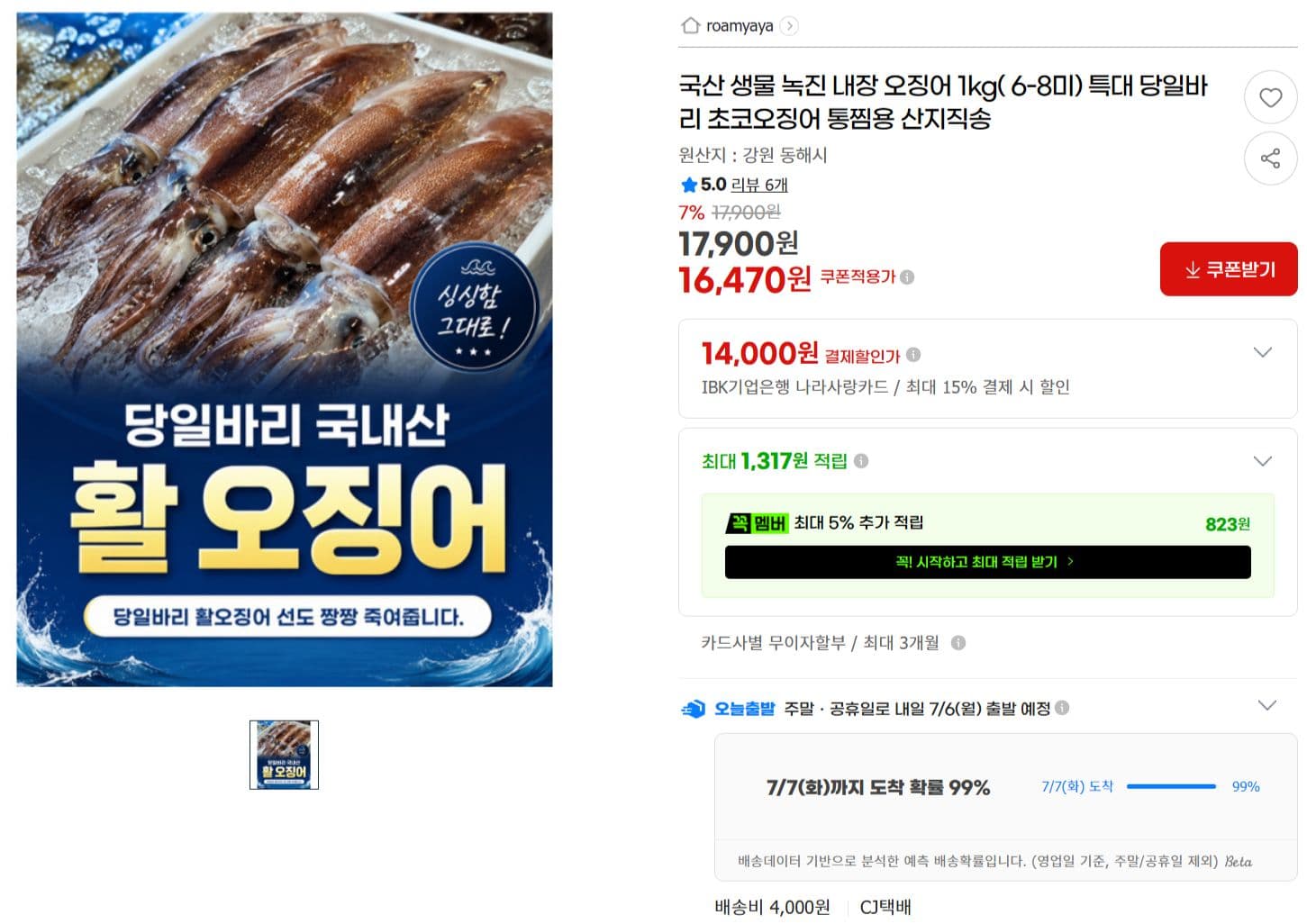 국산 생물 오징어 1kg