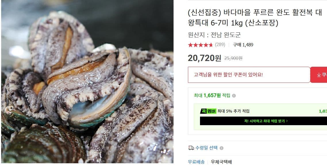 완도 활전복 대왕특대 1kg
