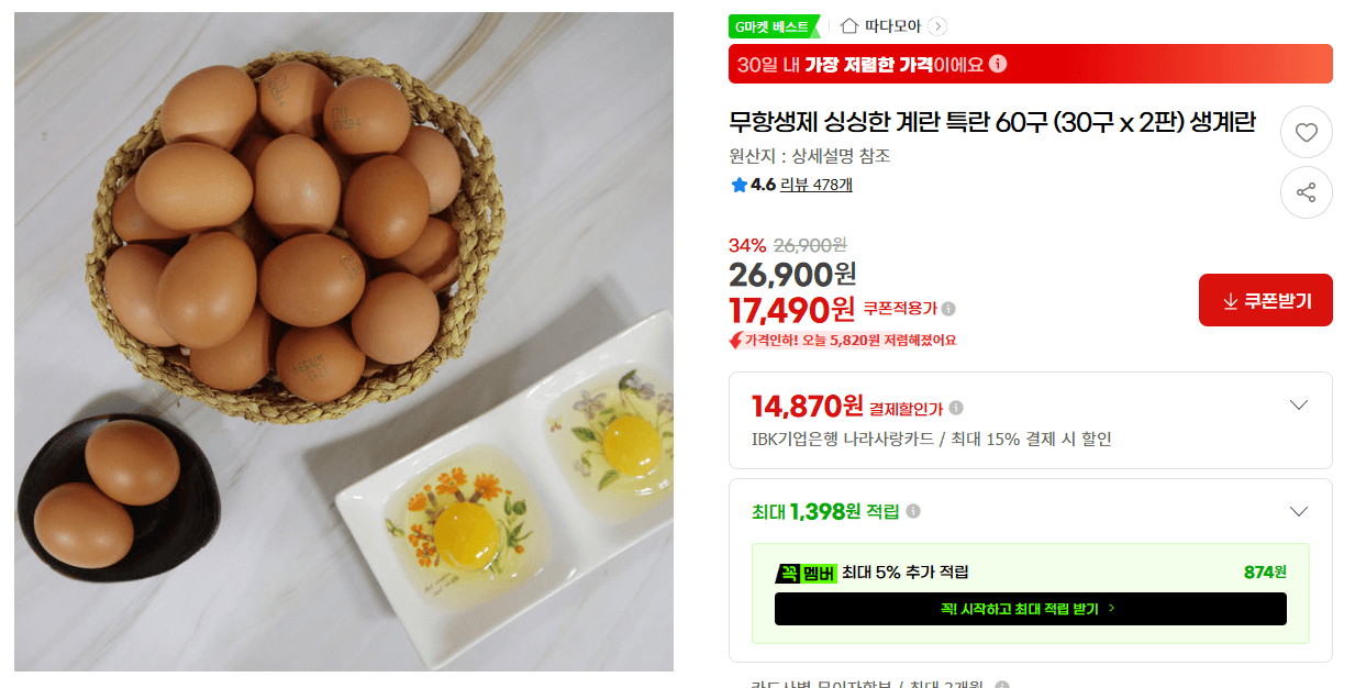 무항생제 계란 60구
