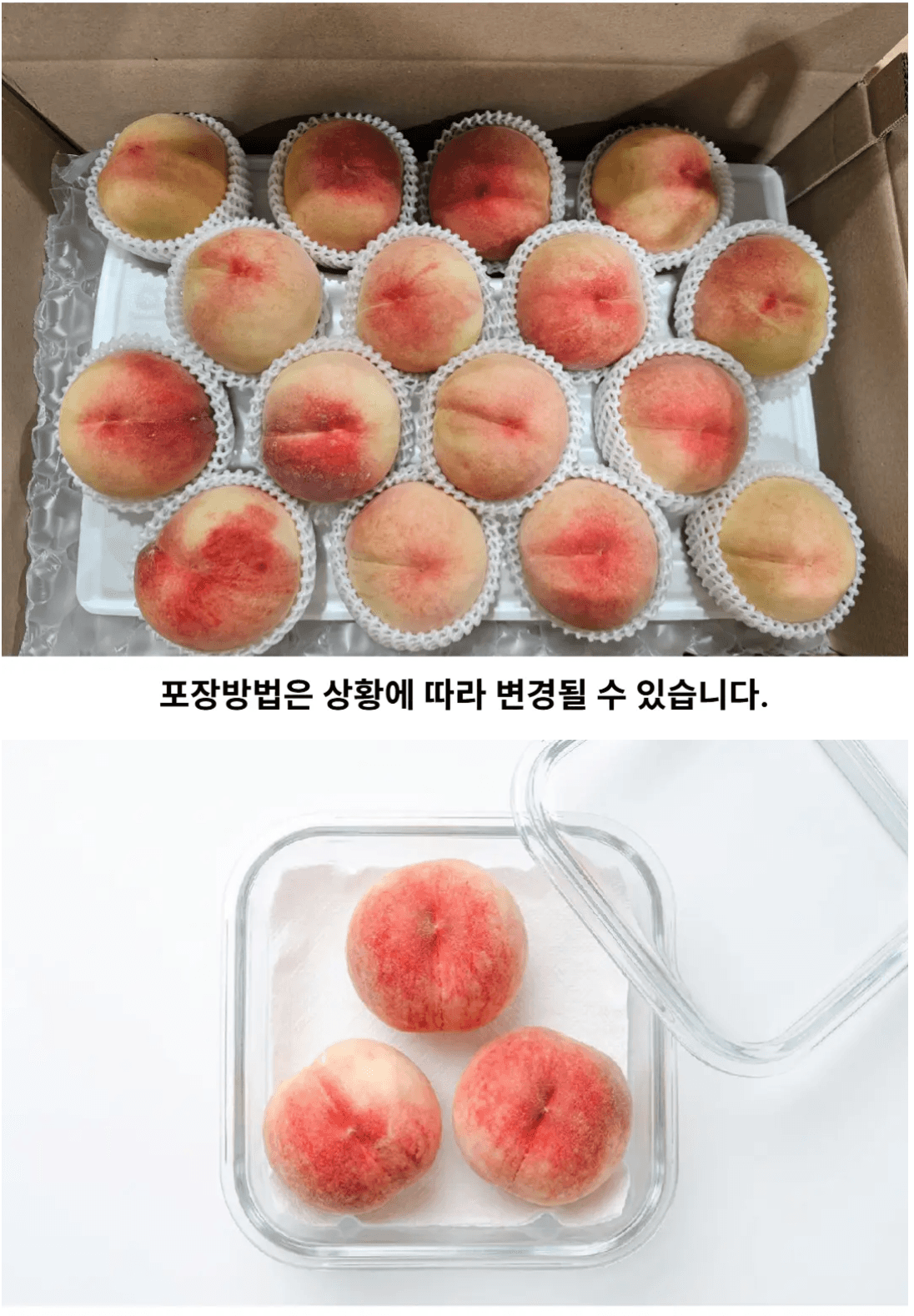 백도복숭아 딱딱이 2kg