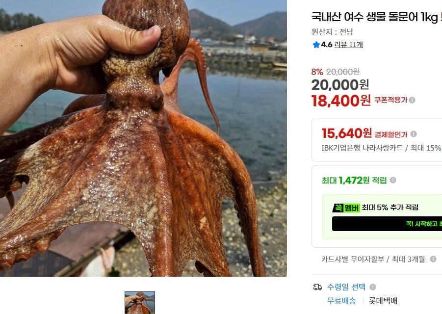 여수 생물 돌문어 1kg