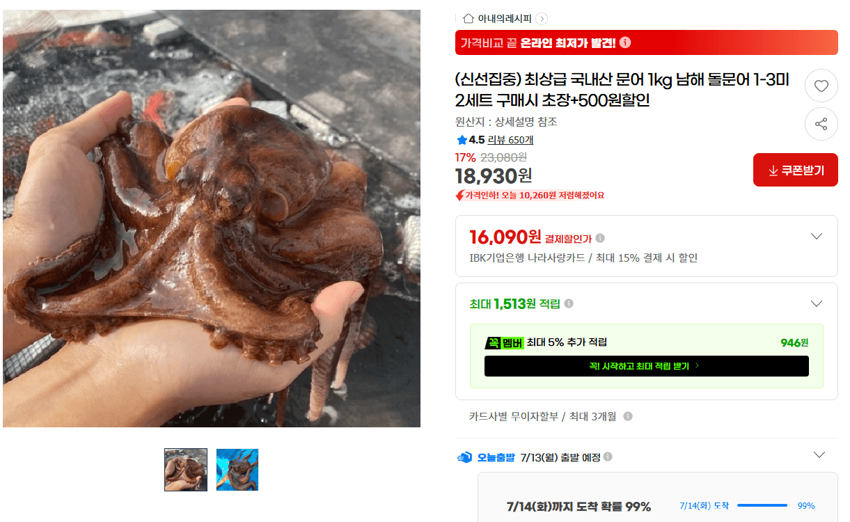 국내산 남해 돌문어 1kg