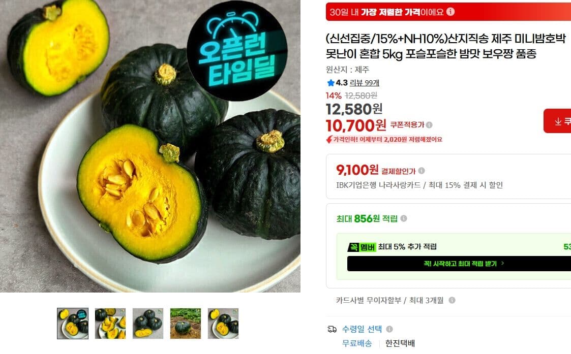 제주 미니밤호박 5kg