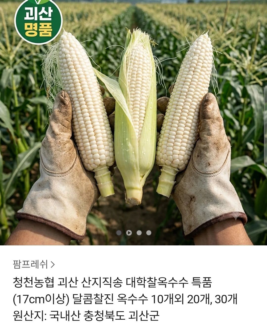 괴산 대학찰옥수수 10개