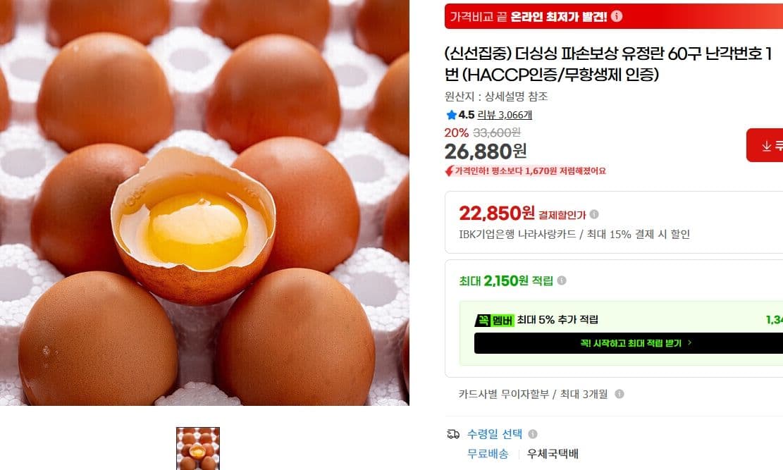 유정란 60구