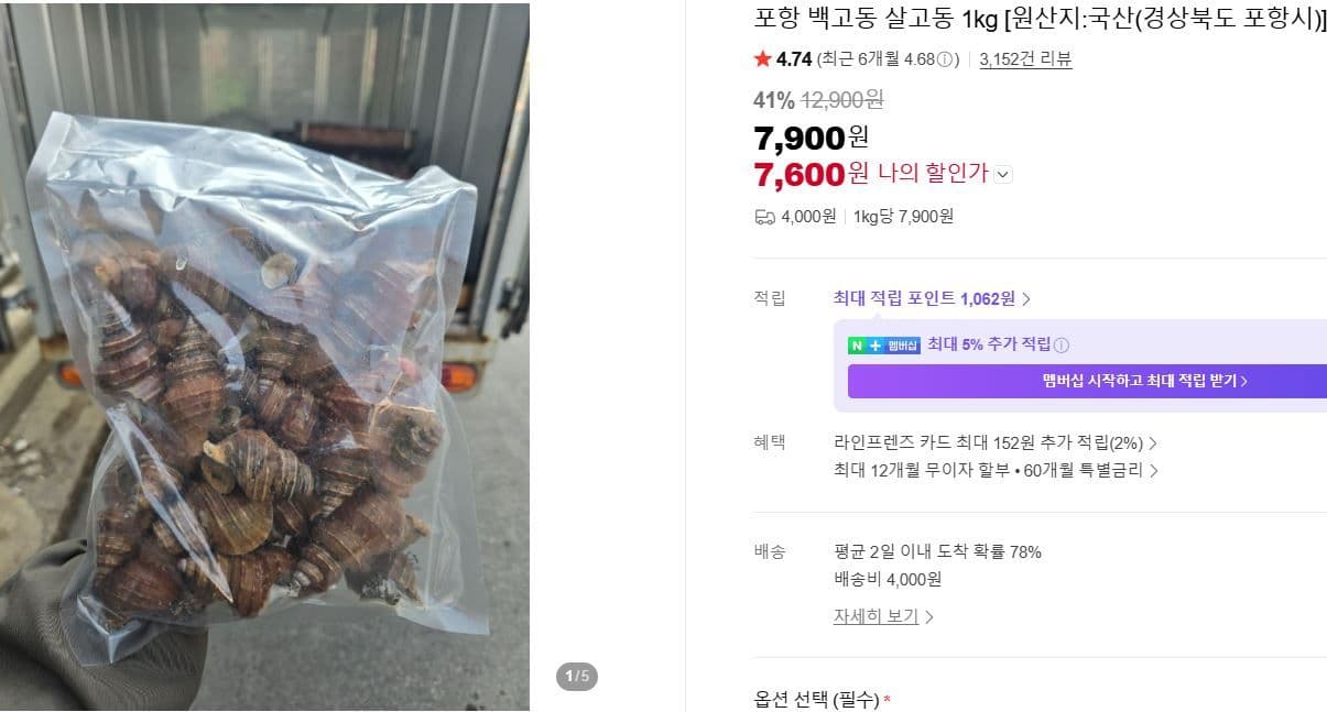 포항 백고동 살고동 1kg
