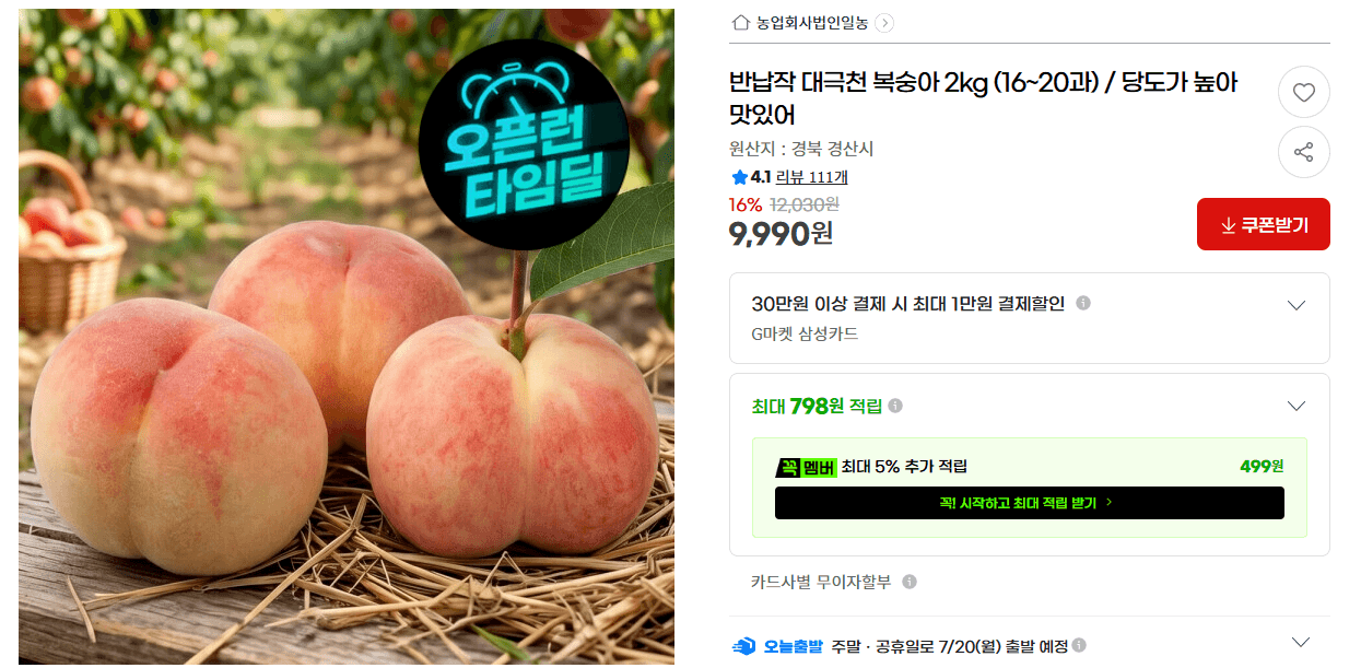 대극천 복숭아 2kg