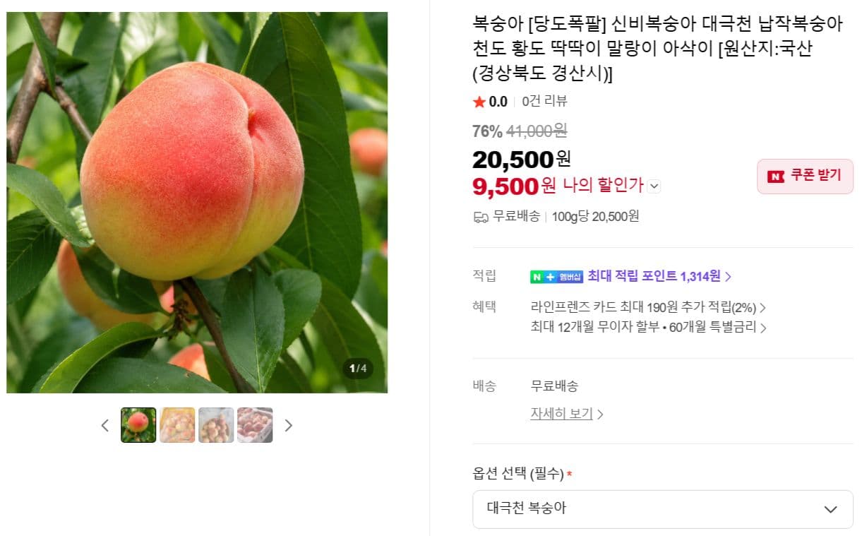 대극천 복숭아 1kg
