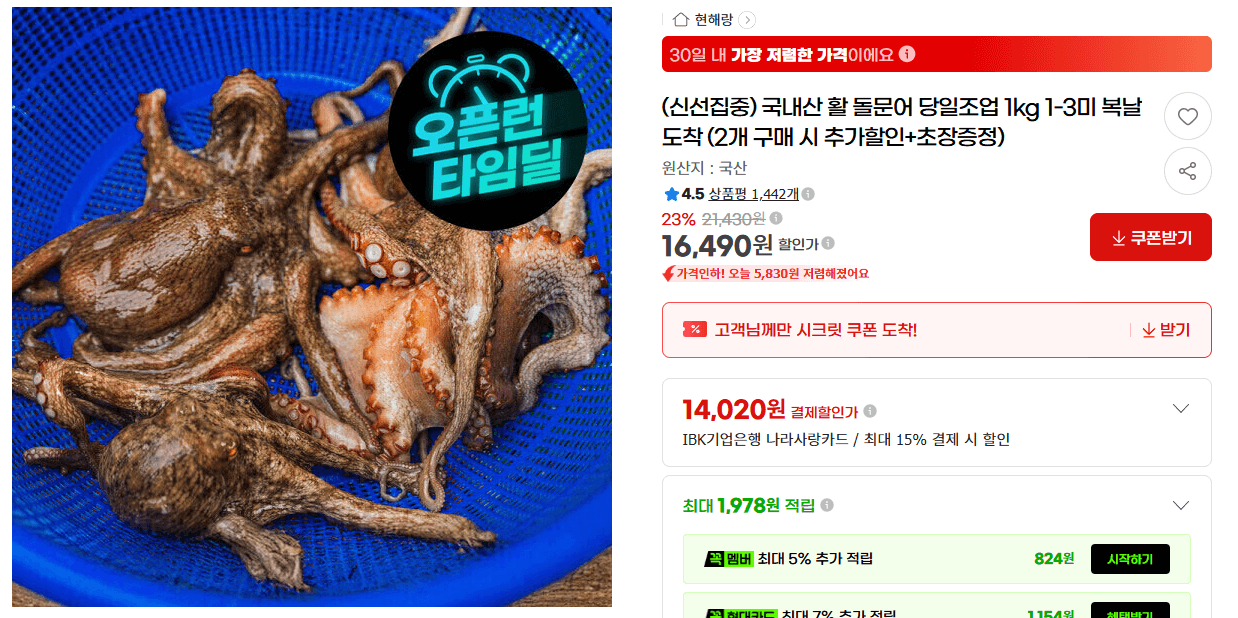 국내산 활 돌문어 1kg