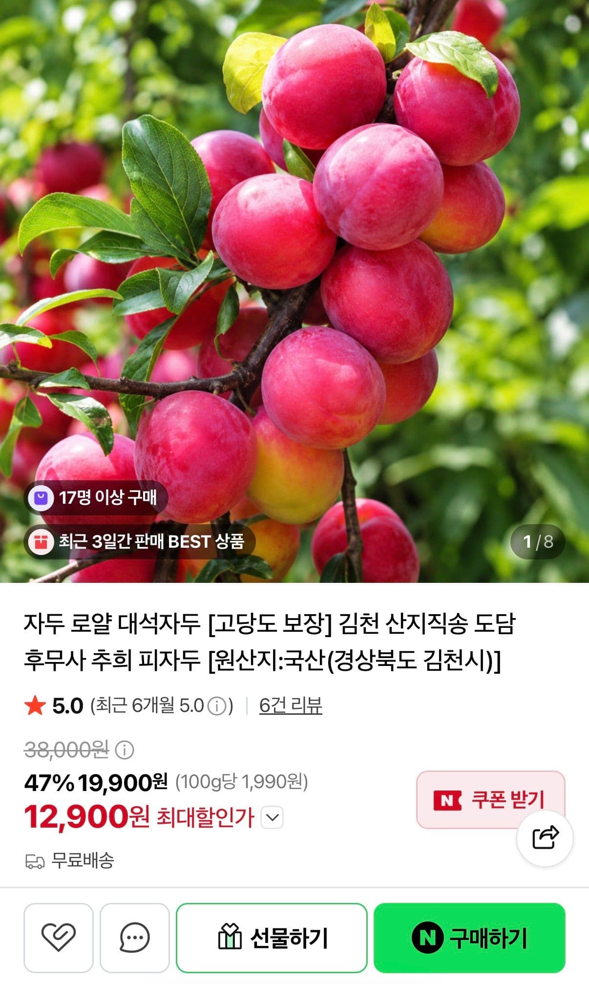 후무사 자두 2KG