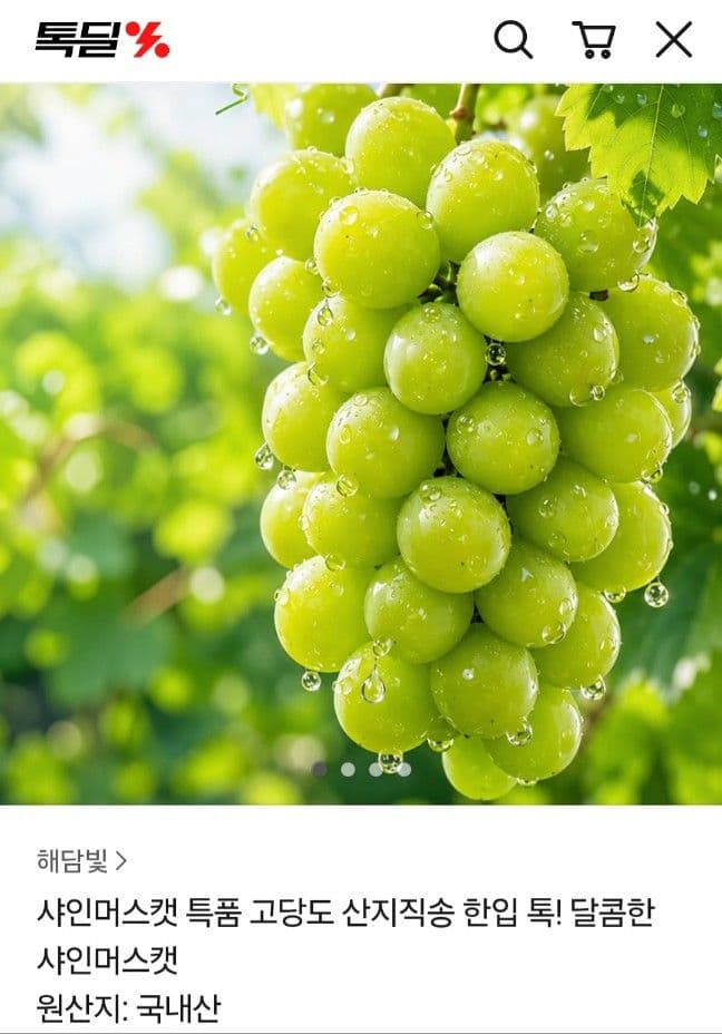 샤인머스켓 특품 1kg 2수