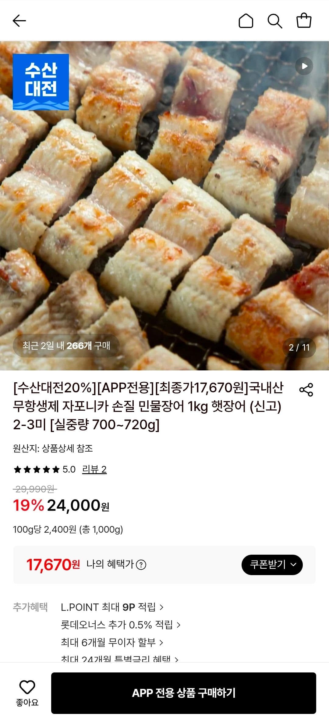 국내산 자포니카 민물장어 1kg
