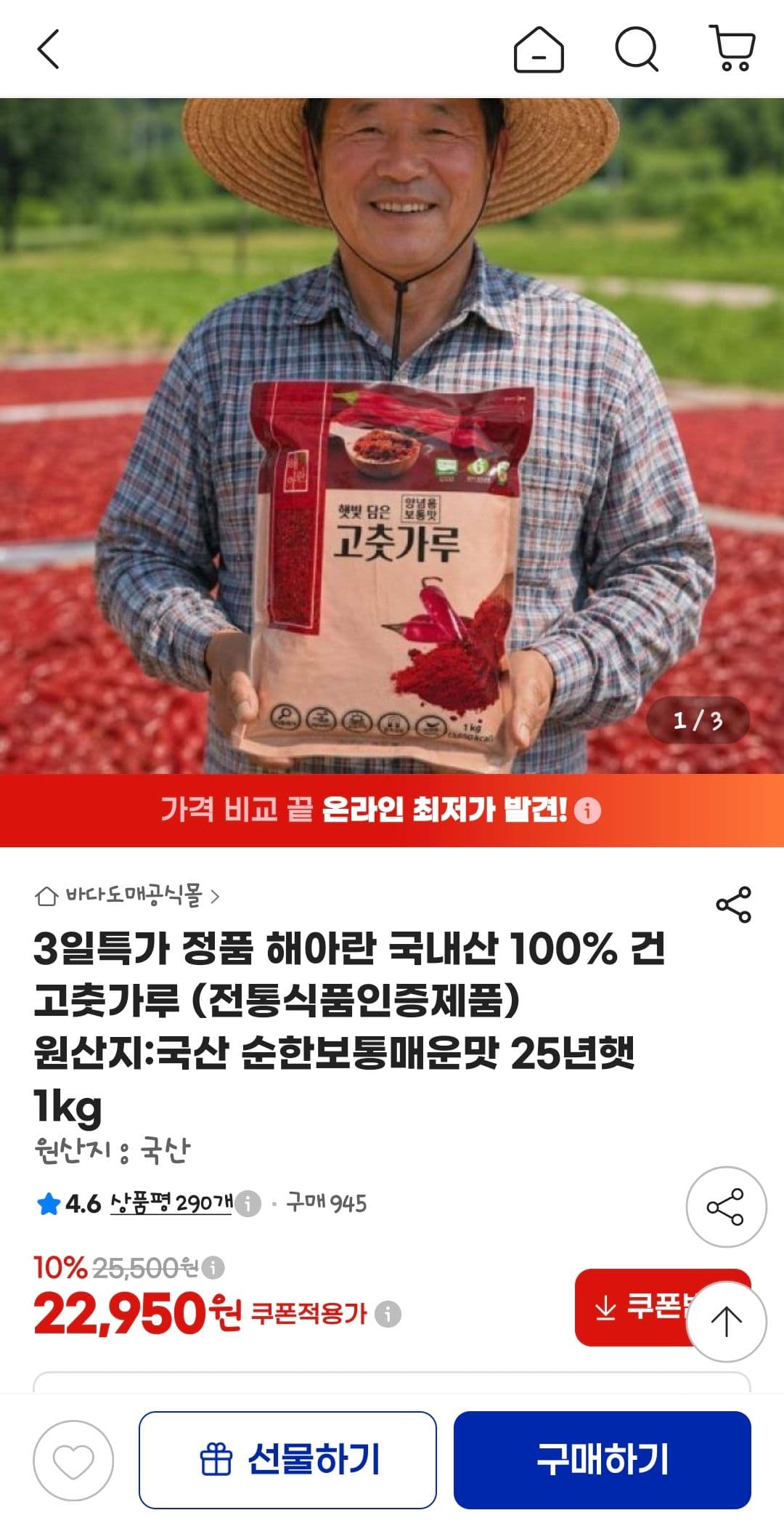 해아란 건 고춧가루